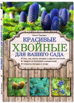 Красивые хвойные для вашего сада от Ольги Городец